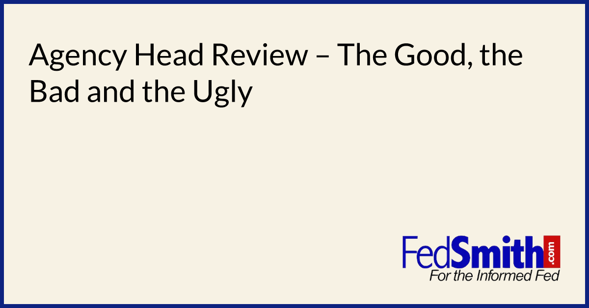 Agency Head Review – The Good, the Bad and the Ugly