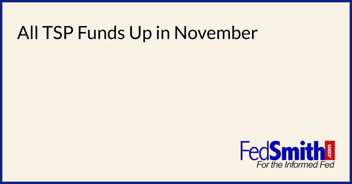 All TSP Funds Up in November