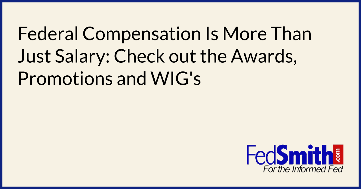 Federal Compensation Is More Than Just Salary: Check out the Awards, Promotions and WIG's