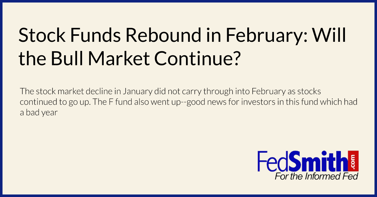 Stock Funds Rebound in February: Will the Bull Market Continue?
